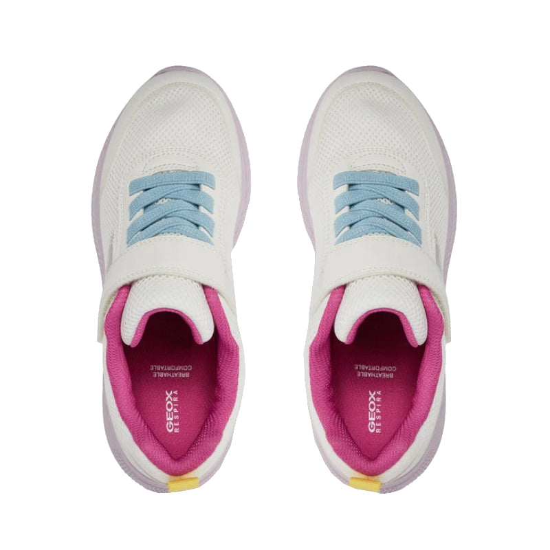 Baskets J Sprintye Geox