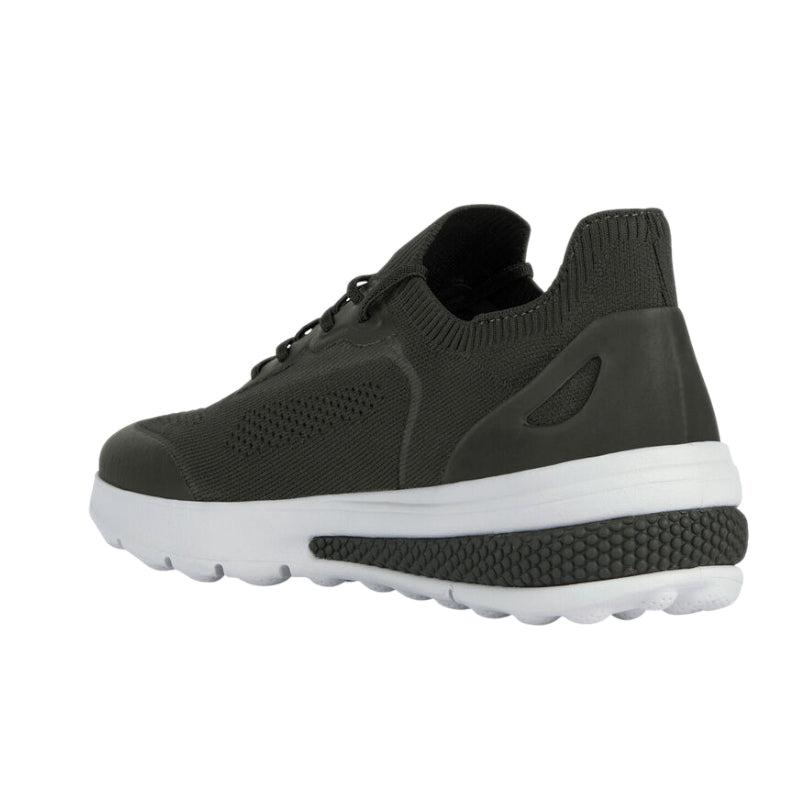 Baskets Spherica Geox homme