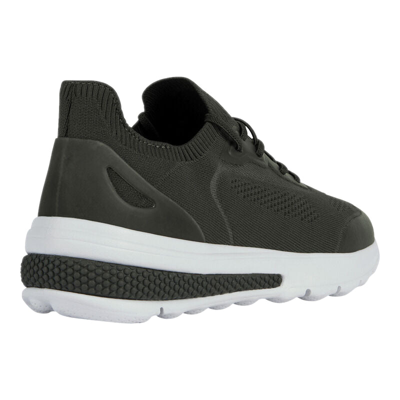 Baskets Spherica Geox homme