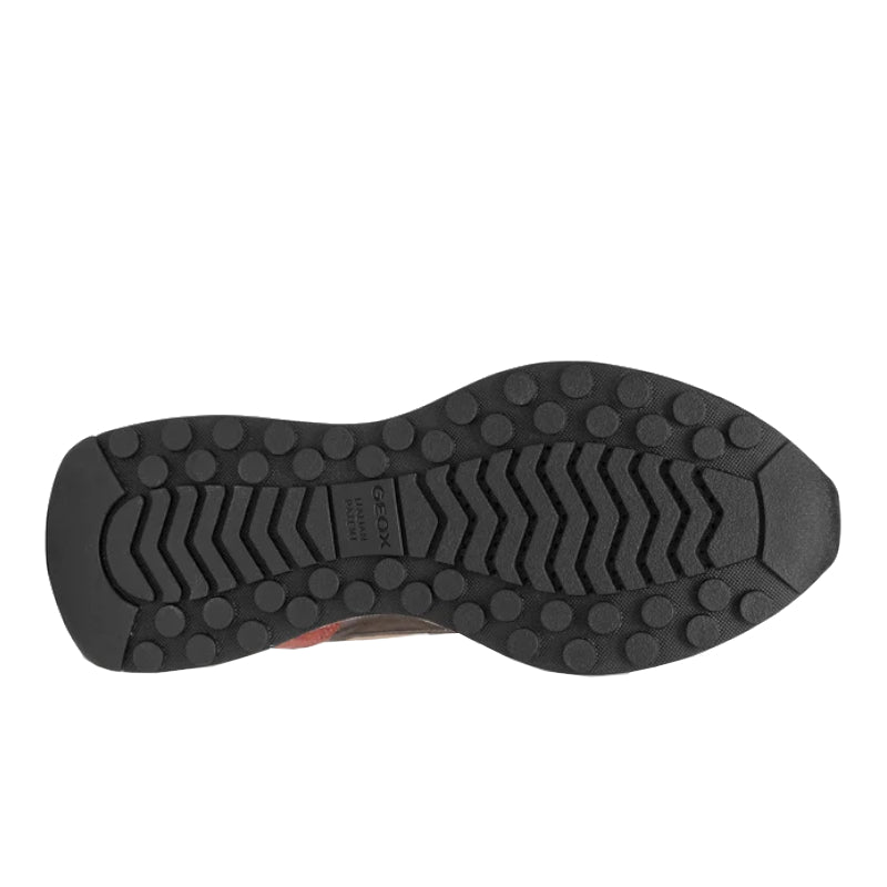 Baskets D Amabel Geox