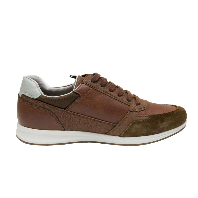 Baskets Geox Avery Homme