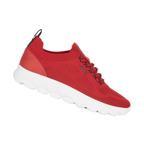 Baskets Spherica Geox homme