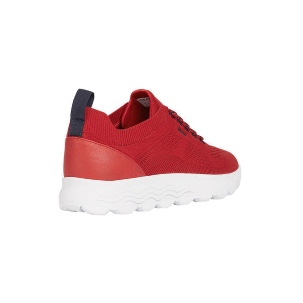 Baskets Spherica Geox homme