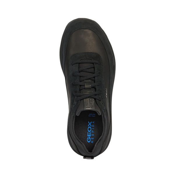 Baskets Spherica Geox homme