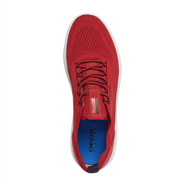 Baskets Spherica Geox homme