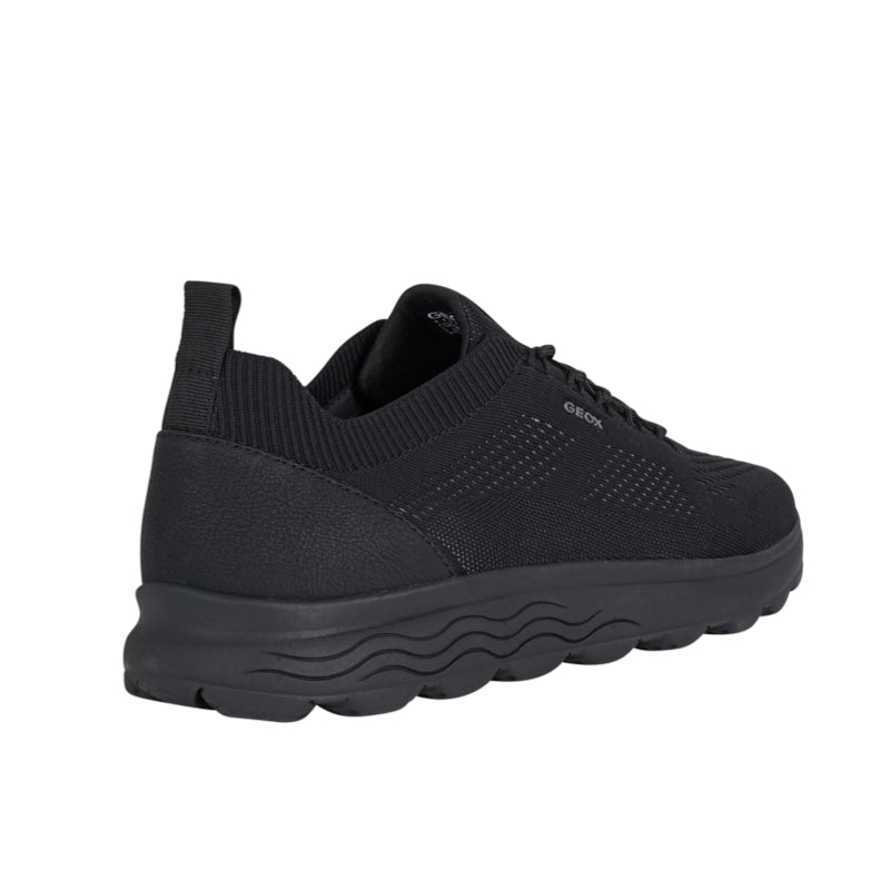 Baskets Spherica Geox homme