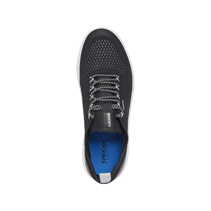 Baskets Spherica Geox homme
