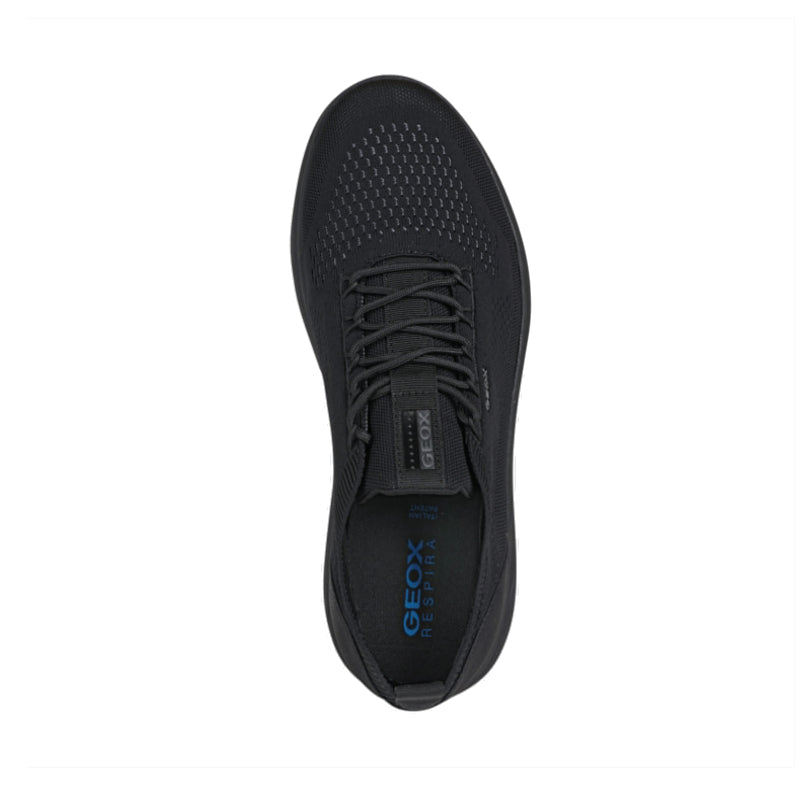 Baskets Spherica Geox homme